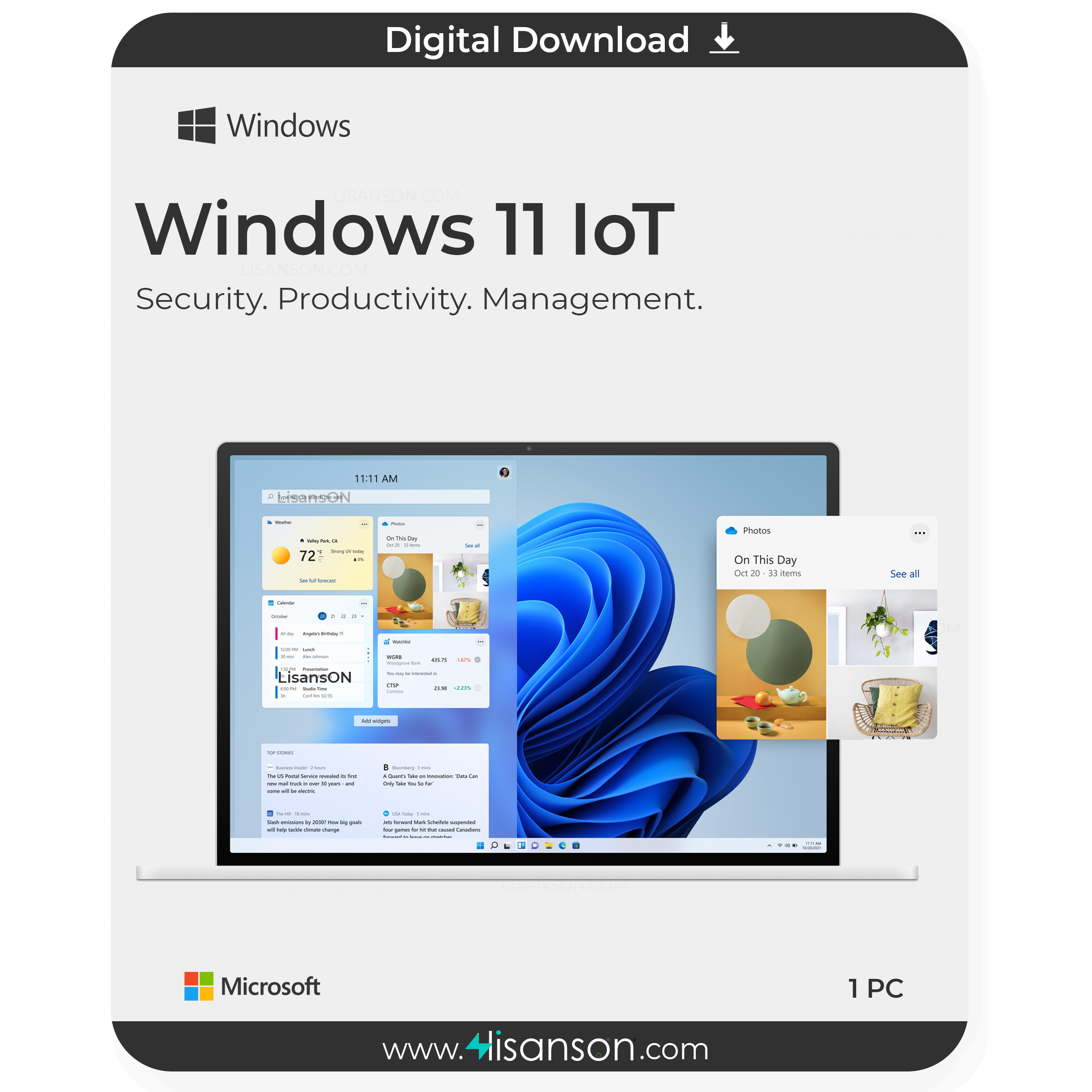 Ms Windows 11 Team